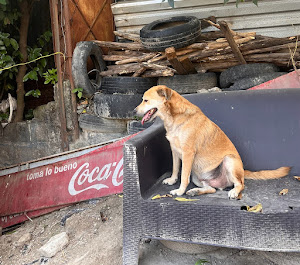 image_2025_01_07T21_39_33_255Z